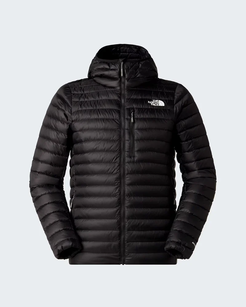 BETTAFORCA LT DOWN HOODIE Herren