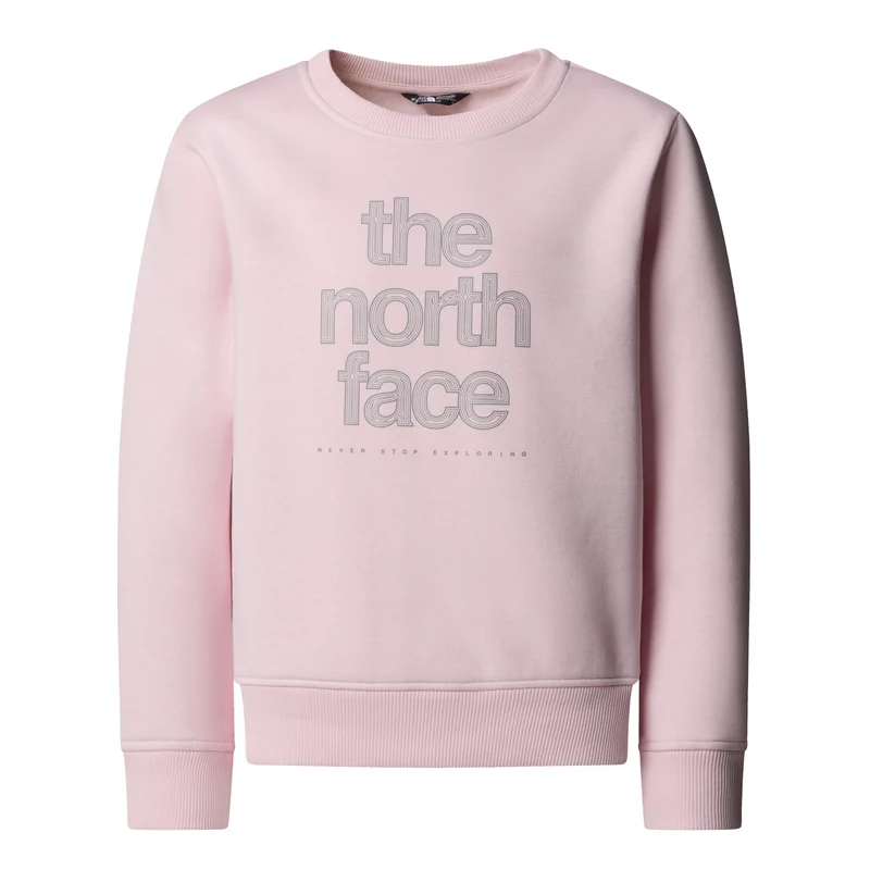 NORTH FACE G Reflective Logo Relaxed Crew Pullover